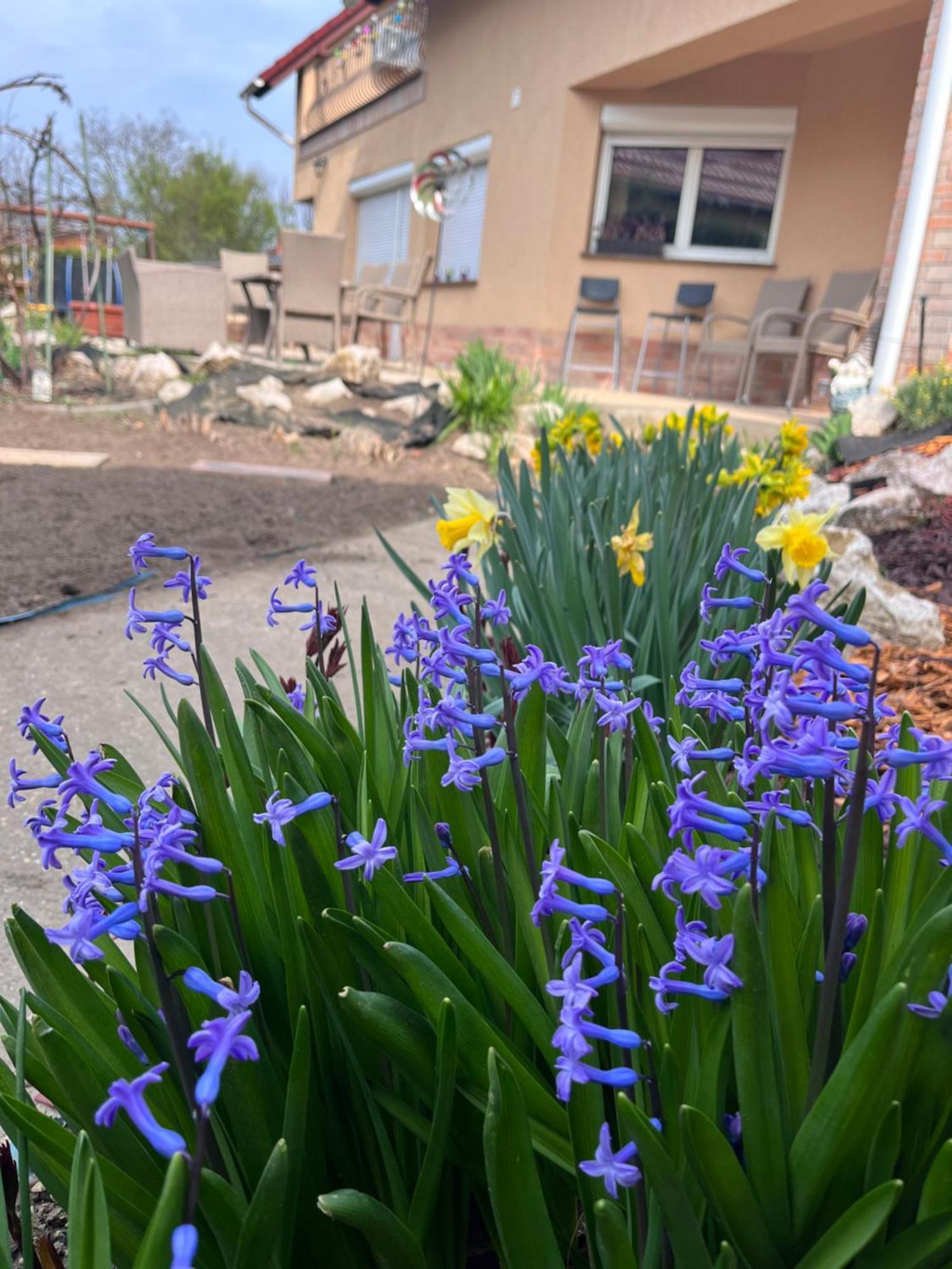 Garden Villa Budapešť Exteriér fotografie
