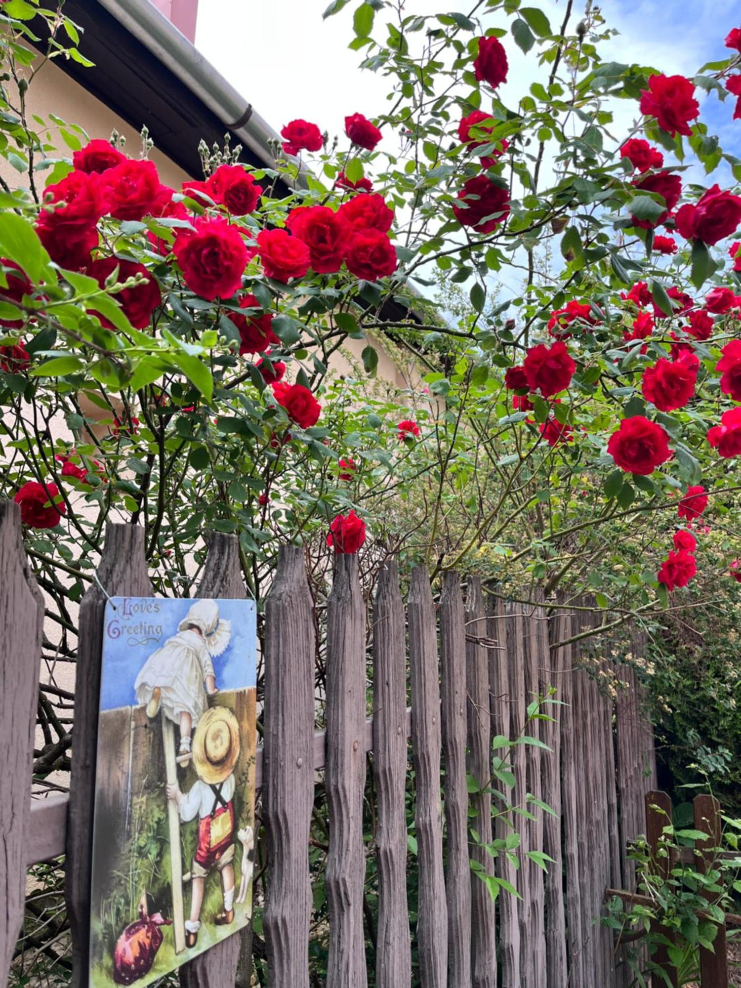Garden Villa Budapešť Exteriér fotografie